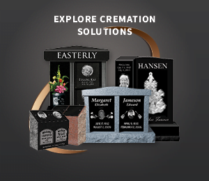 Website Banner Graphics SN 21 V2